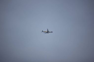 HS-Dby Boeing 737-800 Nokair itibaren . 