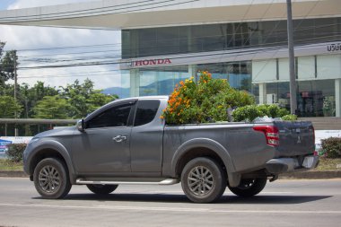 Özel araba, Mitsubishi Triton kamyonet.