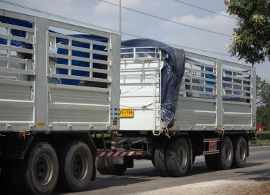 Özel Isuzu kargo kamyon.