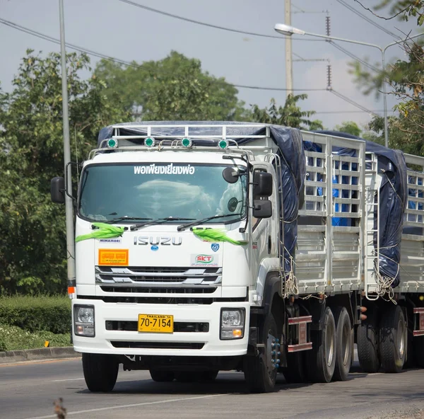 Özel Isuzu kargo kamyon.