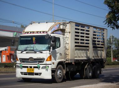  Özel Hino kargo kamyon.