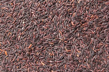 Ricebery tahıl kahverengi pirinç 