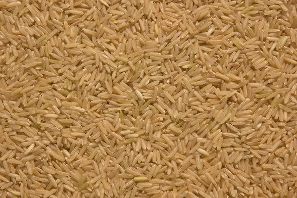 Grain brown rice background — Stock Photo, Image