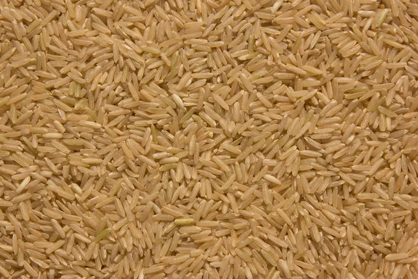 Grain brown rice background — Stock Photo, Image