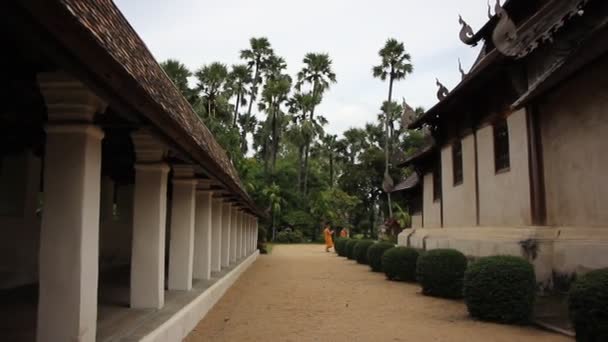 Wat Ton Kwan Lanna Thai Nordthailändischer Architekturtempel Chiangmai Thailand — Stockvideo