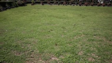 Chiangmai, Tayland-14 Ekim 2015: Banden Tapınağı, güzel tapınak Maetang bölgesinde, Chiangmai, Tayland. 