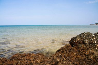 Mercan ve mavi deniz thaibay Tayland Doğu bölgesinde