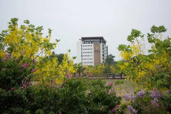 Будівля факультет медицини Університету Чіанг маи — стокове фото
