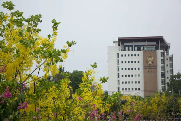 Будівля факультет медицини Університету Чіанг маи — стокове фото