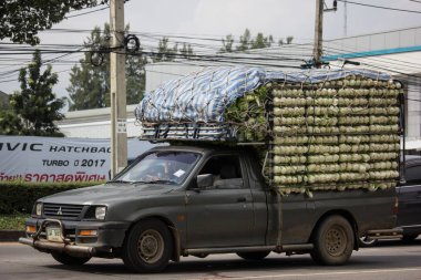 Özel eski pikap Araba, Mitsubishi Strada.