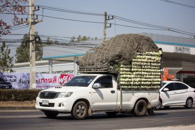 Chiangmai, Tayland - 13 Şubat 2020: Er Toyota Hilux Vigo Kamyonet. 1001 no 'lu yolda. Chiangmai şehrinden 18 km uzakta..