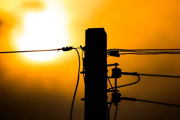 Closeup Sunset Elektromos Vonal Villamos Energia Utáni Wtih Kék Háttér — Stock Fotó