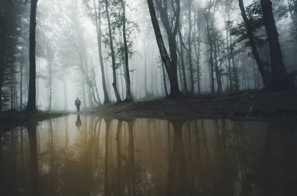 Людина на краю озера в темному лісі з туманом — стокове фото