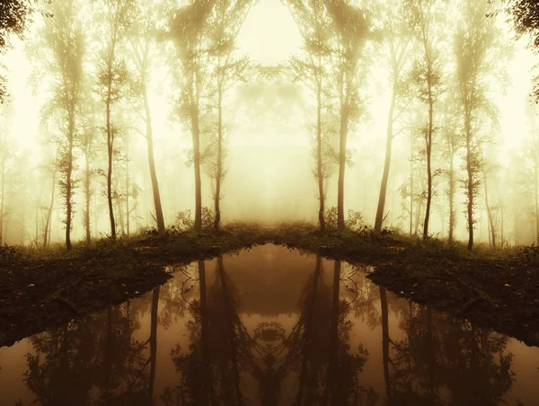 Σουρεαλιστικό φθινοπωρινό δάσος αντανάκλαση — Φωτογραφία Αρχείου