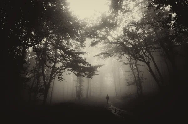 Oscuro sepia bosque paisaje con el hombre en el camino brumoso, fondo de fantasía —  Fotos de Stock