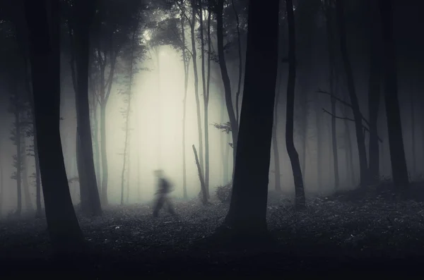 森林超现实万圣节景观中的鬼魂 — 图库照片