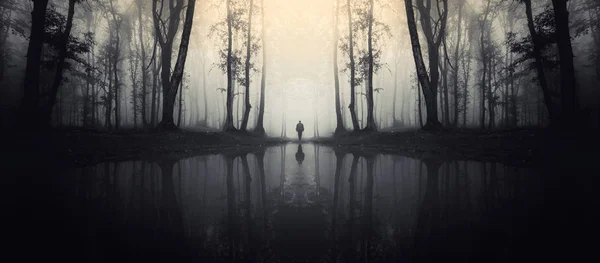 man walking on surreal forest road with trees reflection on lake surface