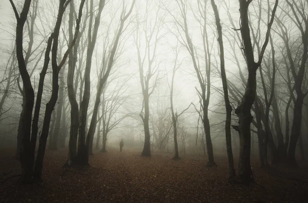 Man i mörka kusliga skogslandskap, skrämmande Halloween atmosfär Royaltyfria Stockbilder