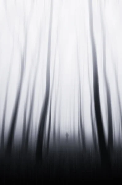 Man walking in surreal forest, creative fantasy scenery — Stock Photo, Image