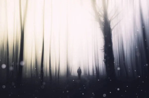 Zauberwald mit Mann auf Waldweg, Fantasielandschaft — Stockfoto