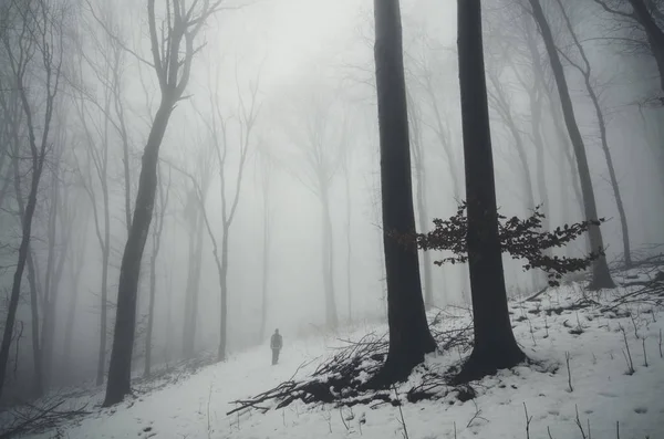 Homem caminhadas no inverno na floresta, paisagem de fantasia com neve — Fotografia de Stock