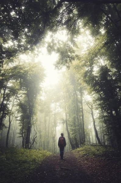 Uomo che cammina sul sentiero forestale, paesaggio di fantasia — Foto Stock