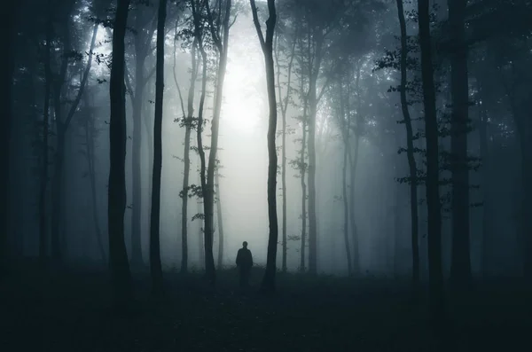 Shadow in dark surreal forest in fog, scary Halloween atmosphere — 스톡 사진