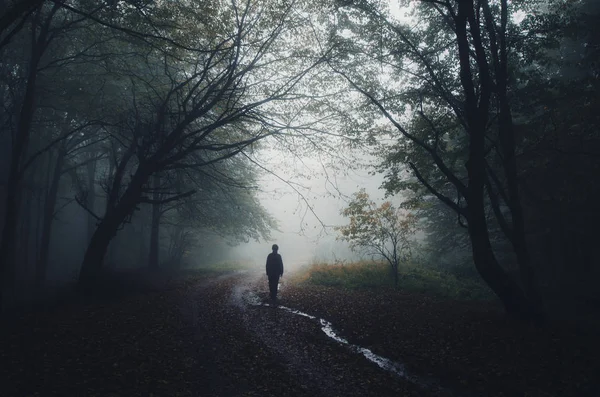 Foresta fantasia scura con silhouette uomo e alberi sul tempo piovoso al crepuscolo — Foto Stock