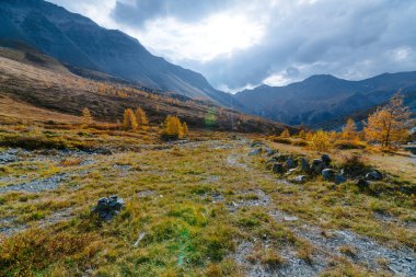 Altay Dağları doğal parkı vadide Akkem