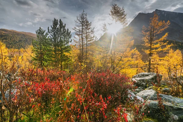 Vale Akkem no Parque Natural das Montanhas Altai — Fotografia de Stock