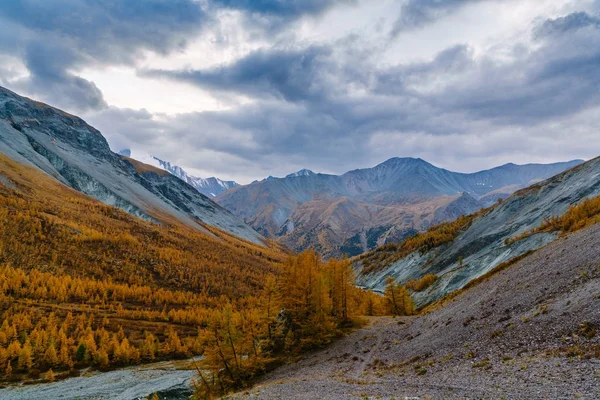 Akkem vallei in Altai gebergte natuurpark — Stockfoto