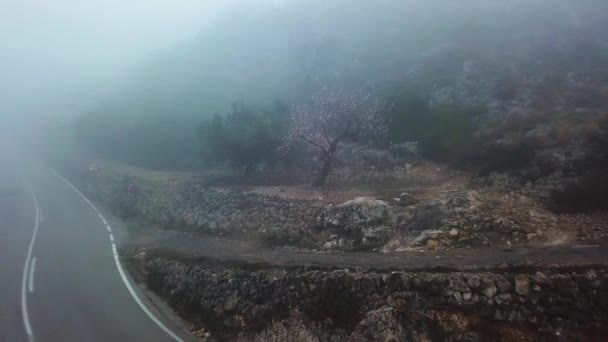 Vistas místicas de la carretera en una densa niebla en las montañas de la Península Ibérica — Vídeo de stock