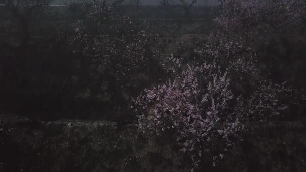 Vistas místicas de la carretera en una densa niebla en las montañas de la Península Ibérica — Vídeo de stock