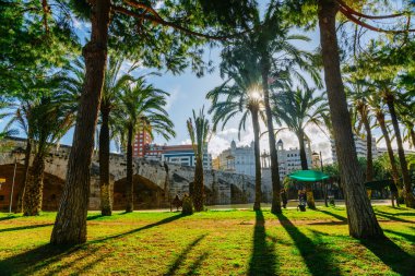 Günbatımı ve Fallas tatil sırasında Turia parkta 2018 yılında Valencia