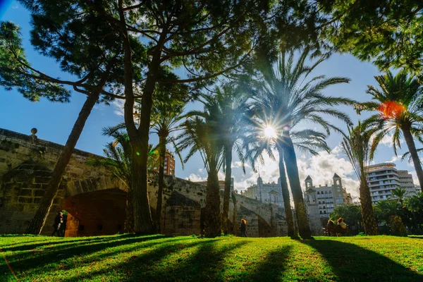 Turia Park during the sunset and Fallas holiday in Valencia in 2018 — Stock Photo, Image