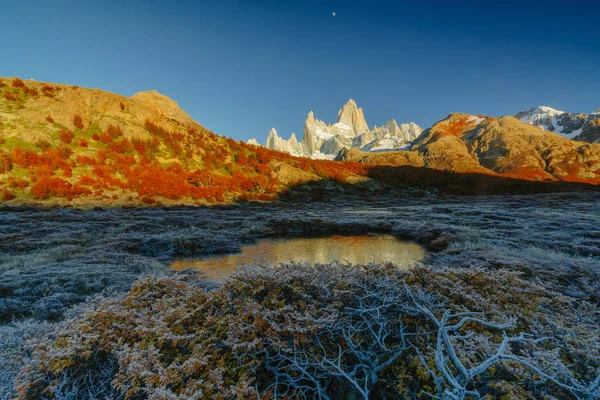 View of Fitz Roy, a frozen lake and covered with hoarfrost shrub. Autumn Patagonia, the Argentine side — Stock Photo, Image