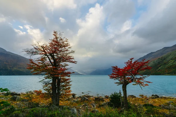 Ghiacciaio Perito Moreno nel parco Los Glaciares. Autunno in Patagonia, il versante argentino — Foto Stock