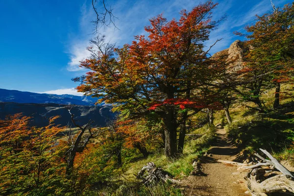 Colori vivaci dell'autunno e paesaggi del parco Los Glaciares. Caduta in Patagonia, il versante argentino — Foto Stock