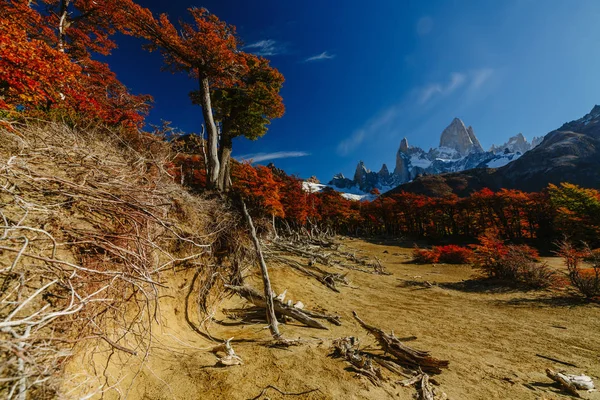 Uitzicht op Mount Fitz Roy Nationaalpark Los Glaciares in overdag. Herfst in Patagonië, de Argentijnse kant — Stockfoto