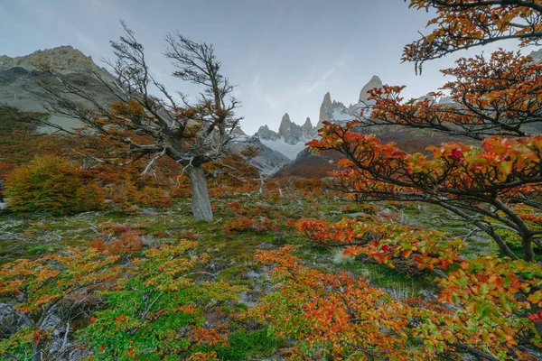 Uitzicht op Mount Fitz Roy in het Nationaalpark Los Glaciares National Park tijdens zonsondergang. Herfst in Patagonië, de Argentijnse kant — Stockfoto