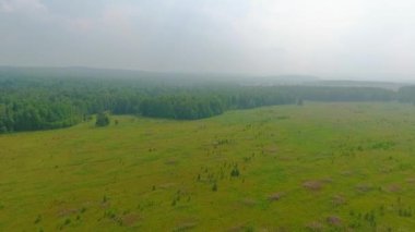 Yol, orman ve alanları, Sverdlovsk bölgesi, Rusya havadan görünümü