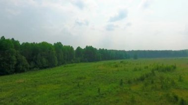 Yol, orman ve alanları, Sverdlovsk bölgesi, Rusya havadan görünümü