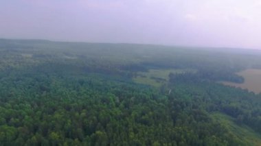 Yol, orman ve alanları, Sverdlovsk bölgesi, Rusya havadan görünümü