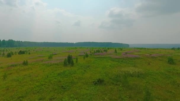 Εναέρια άποψη του δρόμου, δάσος και πεδία στην Περιφέρεια Σβερντλόβσκ, Ρωσία — Αρχείο Βίντεο