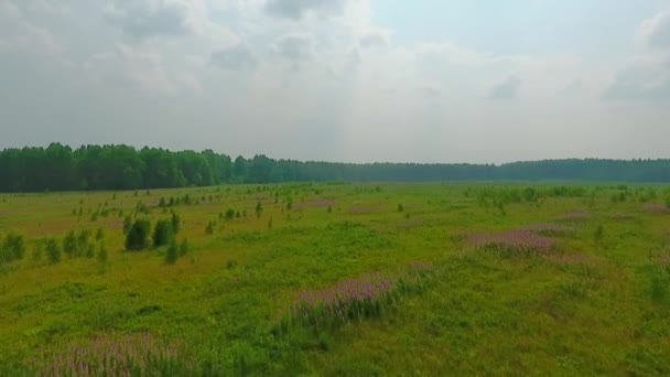 Εναέρια άποψη του δρόμου, δάσος και πεδία στην Περιφέρεια Σβερντλόβσκ, Ρωσία — Αρχείο Βίντεο