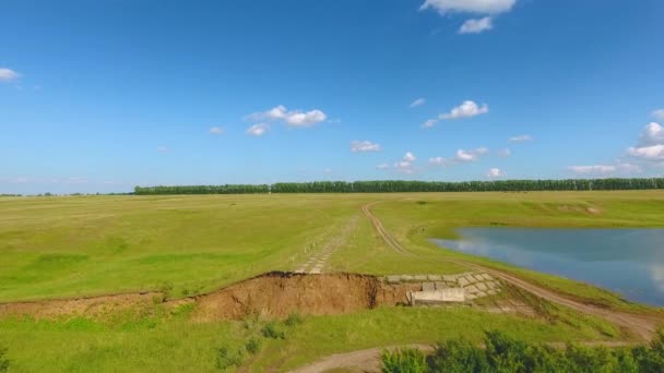 Aerial view of the river, forest, fields, a herd of cows and shepherds near the village of Chirichkasy, Chuvash Republic. Russia — Stock Video