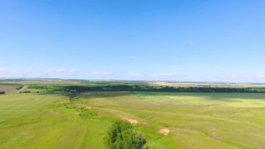 Havadan görünümü nehir, orman, alanlar, inek ve Chirichkasy Köyü, Çuvaşistan Cumhuriyeti yakınındaki çobanlar sürüsü. Rusya