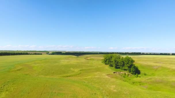 Widok z lotu ptaka rzeki, lasu, pola, stado krów i pasterze, w pobliżu miejscowości Chirichkasy, Czuwaszji. Rosja — Wideo stockowe