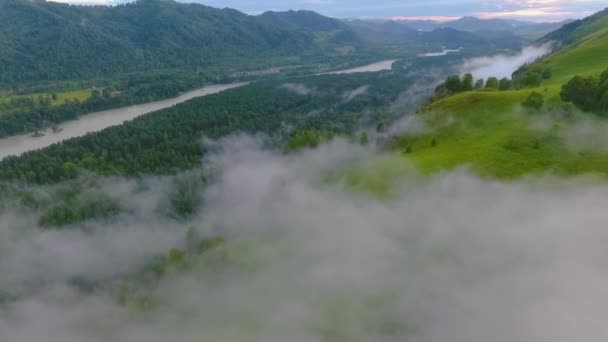 Flygfoto över Katun floden och kullarna under dimman efter regnet. Altai, Ryssland — Stockvideo