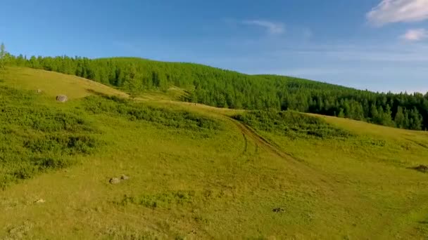 Una vista desde el aire hasta el valle de Chulyshman antes del atardecer. La República de Altai, Rusia — Vídeo de stock